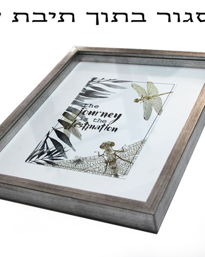 דוגמא מיסגור בתוך תיבה- 501